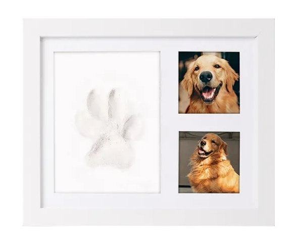 ErgoFits - Forever Paw Keepsake