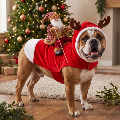 Santa Dog Costume