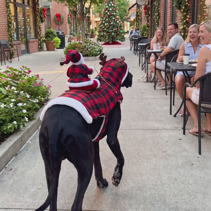 Santa Dog Costume